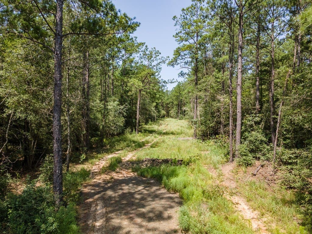 38 acres in Texas County - photo 14
