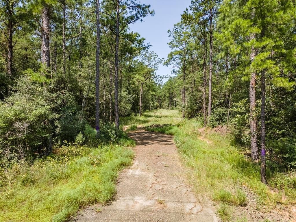 38 acres in Texas County - photo 2