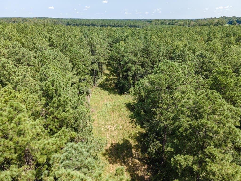 38 acres in Texas County - photo 12