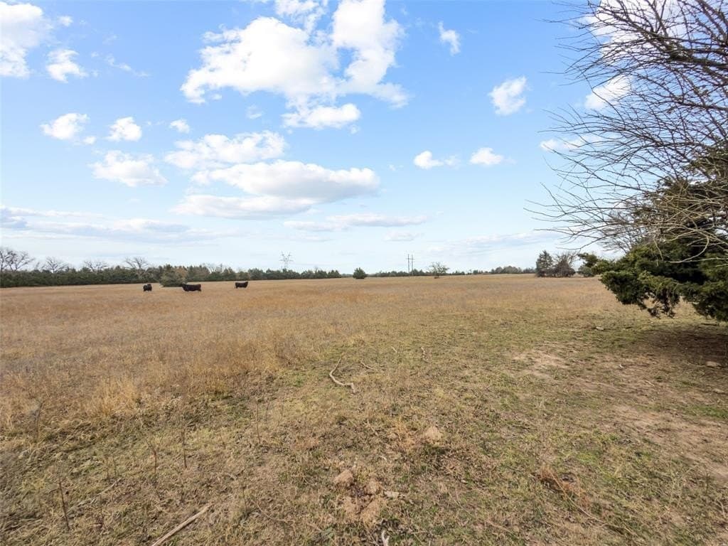 37.75 acres in Fannin County - photo 7