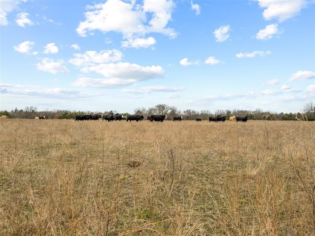 37.75 acres in Fannin County - photo 6