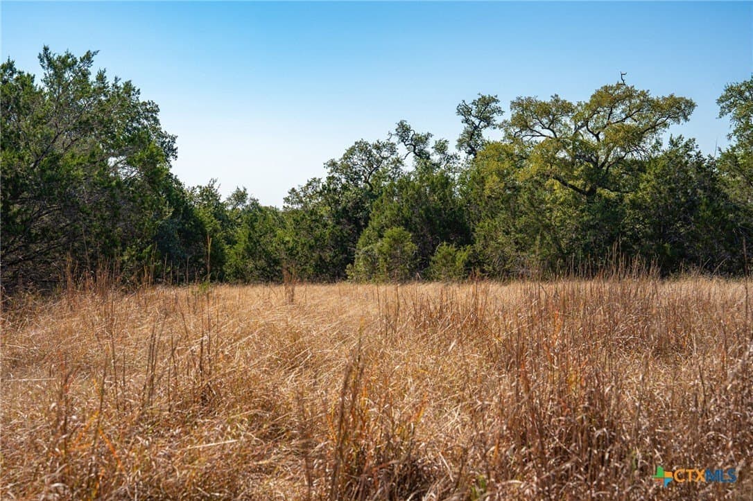 10.5 acres in Comal County - photo 10