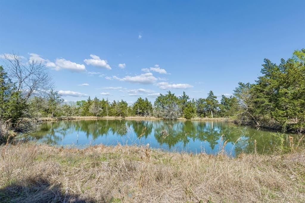 16.06 acres in Grimes County - photo 5