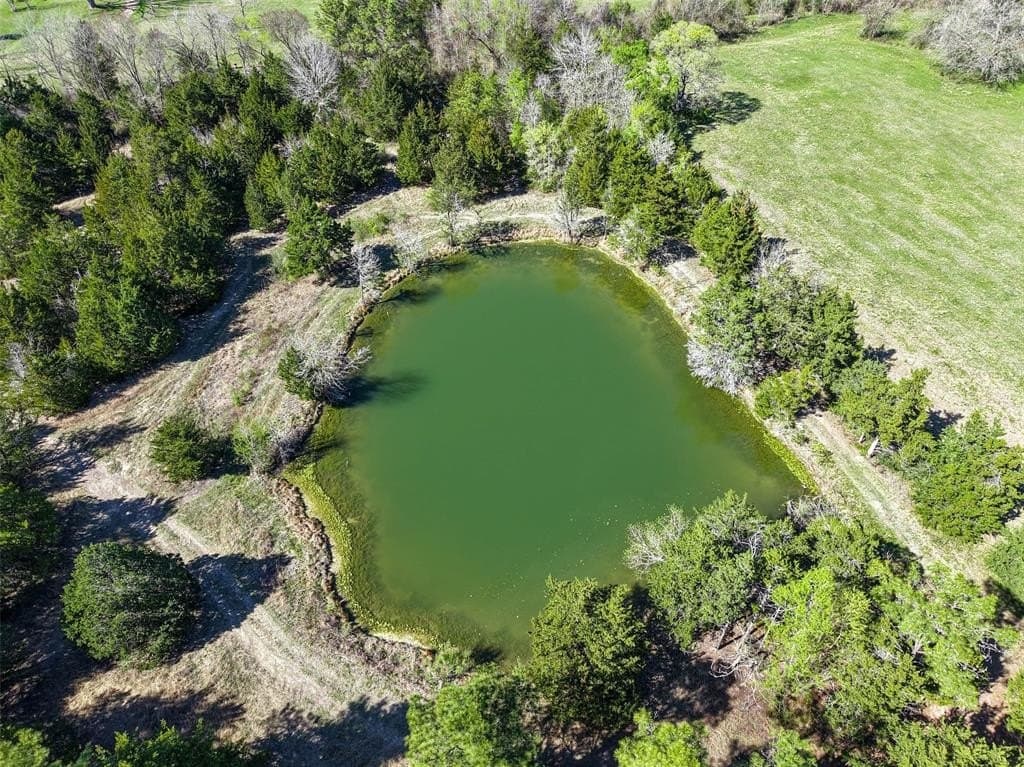 16.06 acres in Grimes County - photo 36