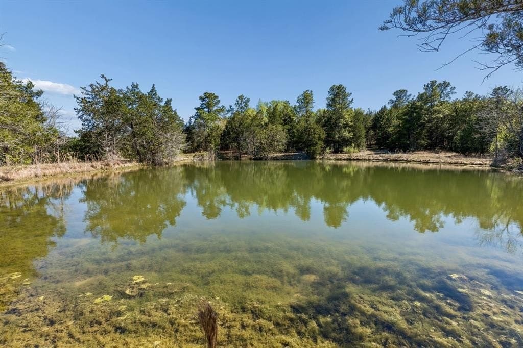 16.06 acres in Grimes County - photo 32