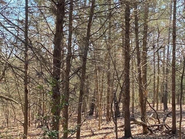 149 acres in Henderson County - photo 26