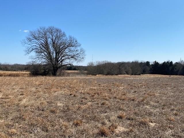 149 acres in Henderson County - photo 2