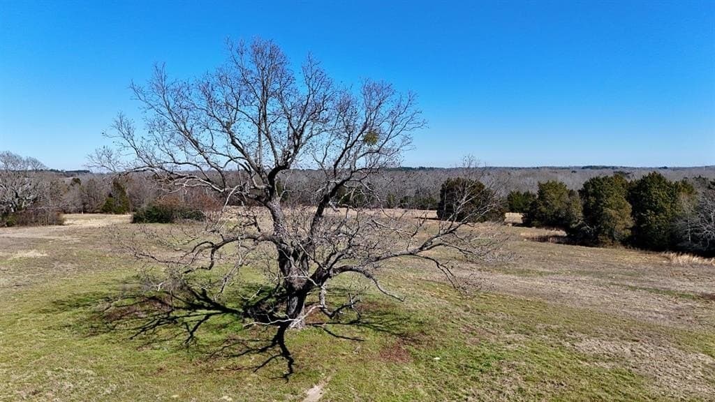 149 acres in Henderson County - photo 21