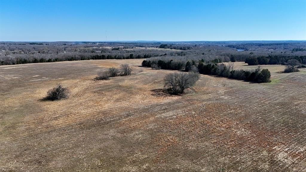 149 acres in Henderson County - photo 30