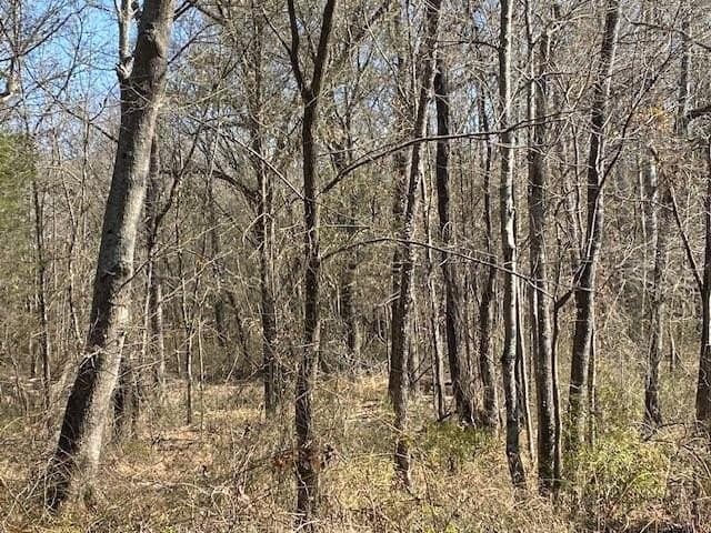 149 acres in Henderson County - photo 28