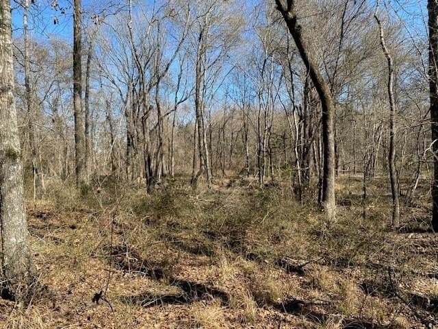 149 acres in Henderson County - photo 29