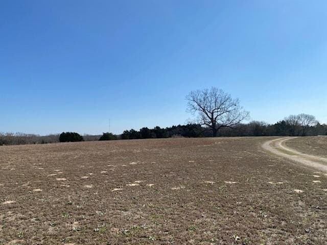 149 acres in Henderson County - photo 35