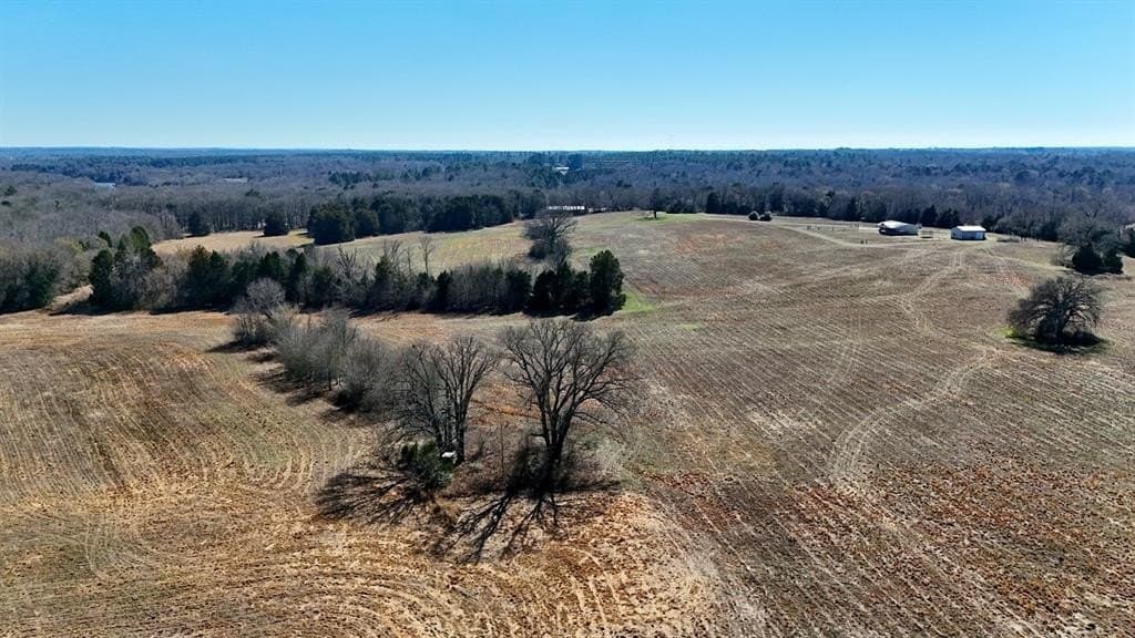 149 acres in Henderson County - photo 31