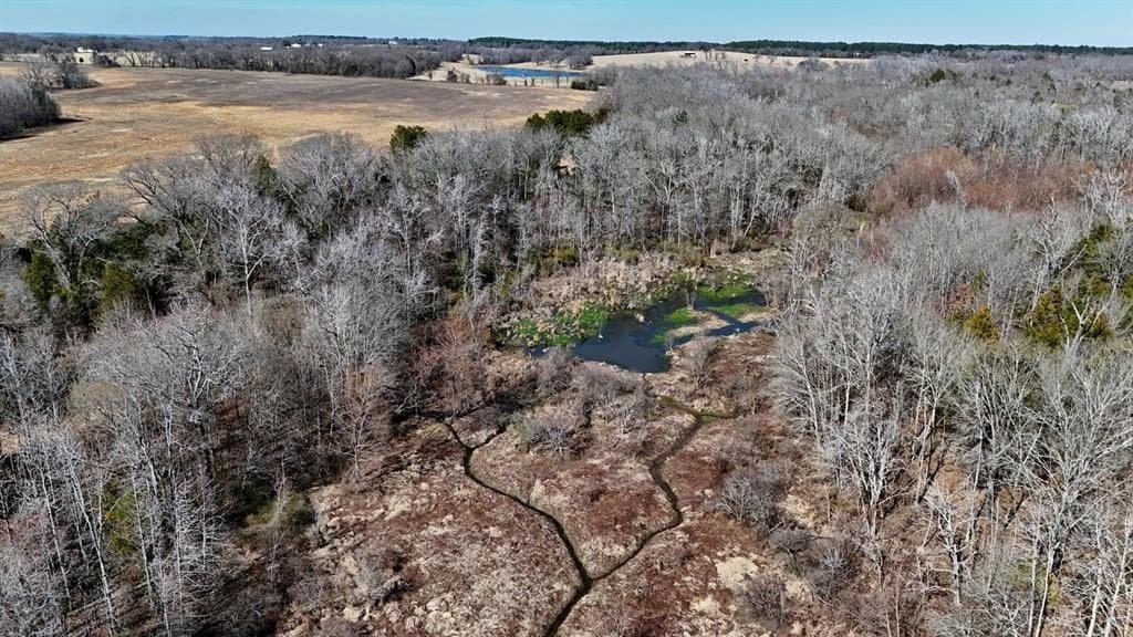 149 acres in Henderson County - photo 24