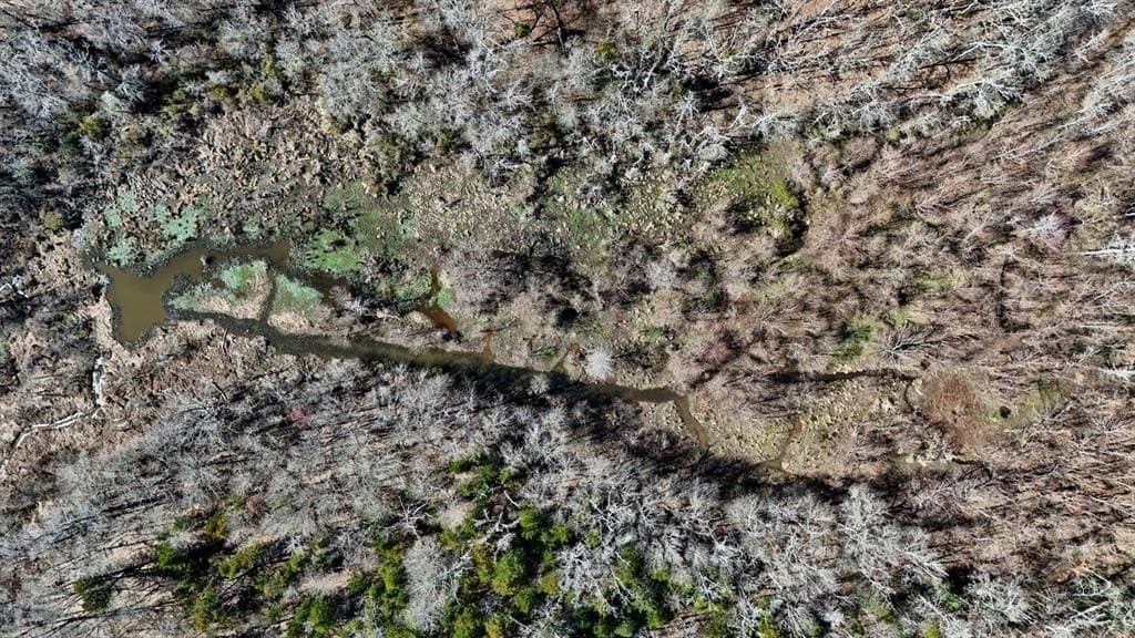 149 acres in Henderson County - photo 25
