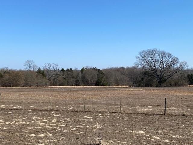 149 acres in Henderson County - photo 34