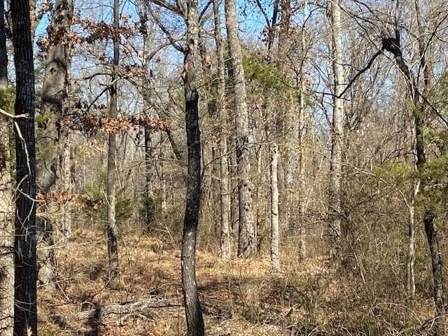 149 acres in Henderson County - photo 27