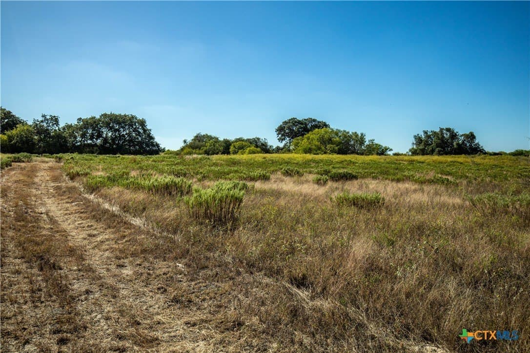 73.68 acres in Bexar County - photo 17
