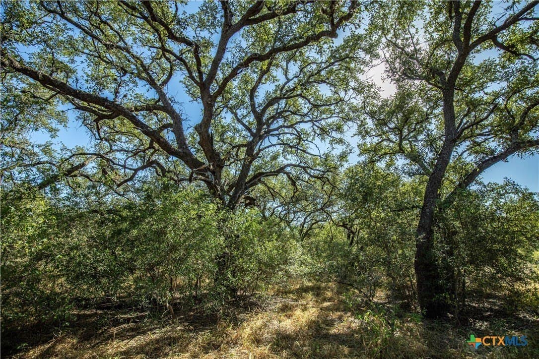 73.68 acres in Bexar County - photo 29