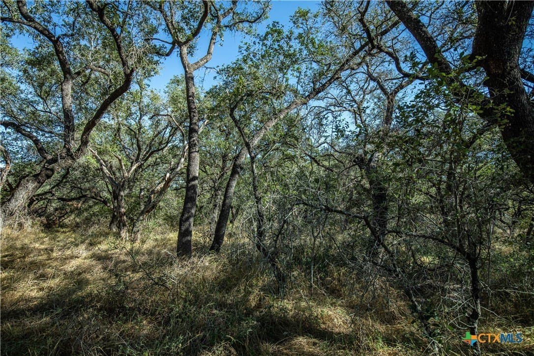 73.68 acres in Bexar County - photo 37