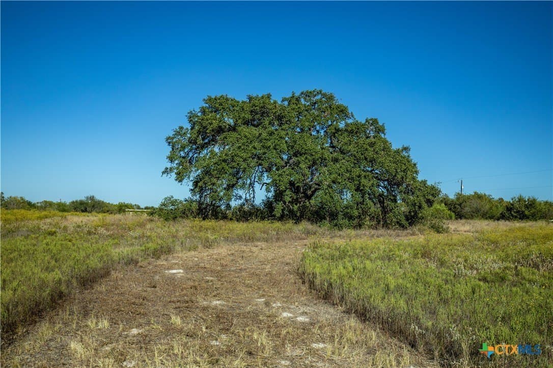 73.68 acres in Bexar County - photo 41