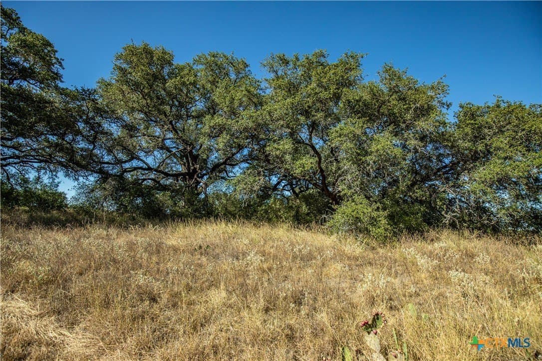 73.68 acres in Bexar County - photo 24