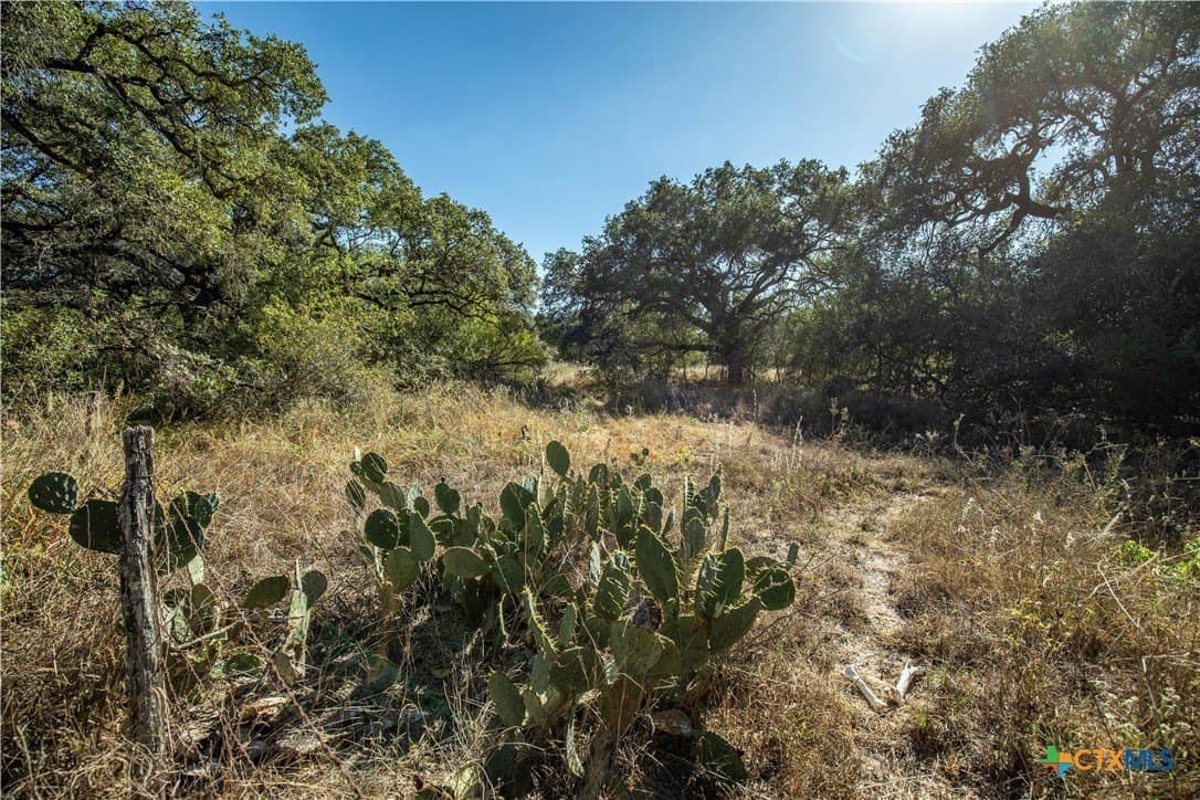 73.68 acres in Bexar County - photo 27