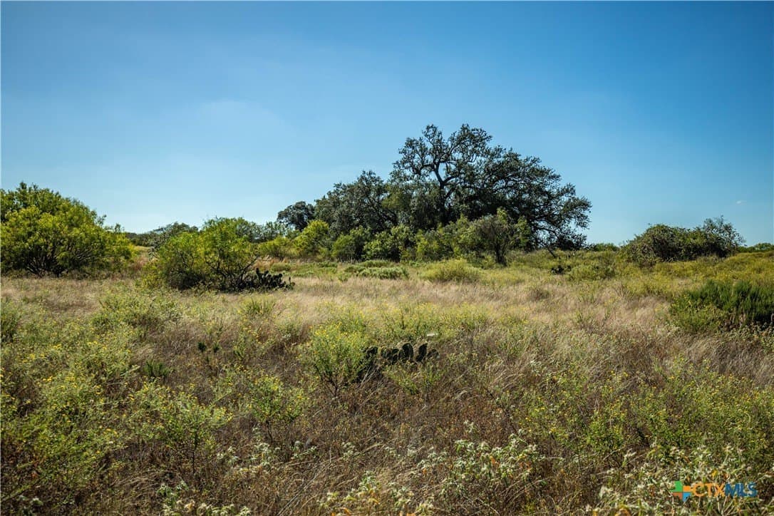 73.68 acres in Bexar County - photo 13