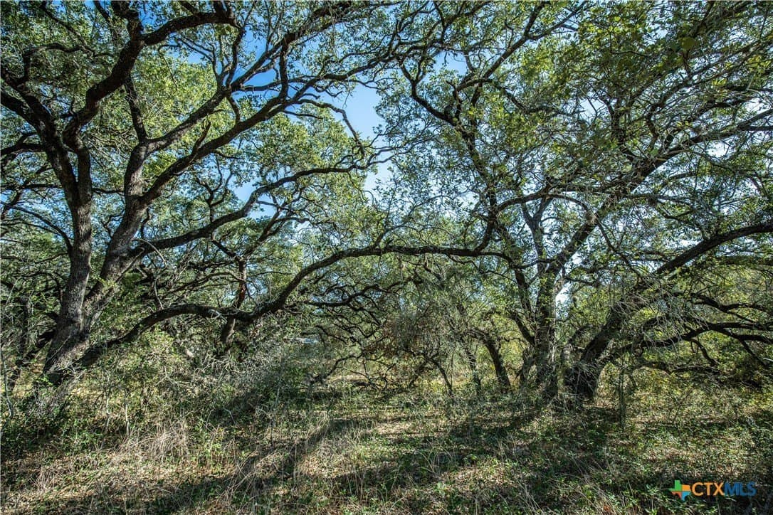 73.68 acres in Bexar County - photo 32