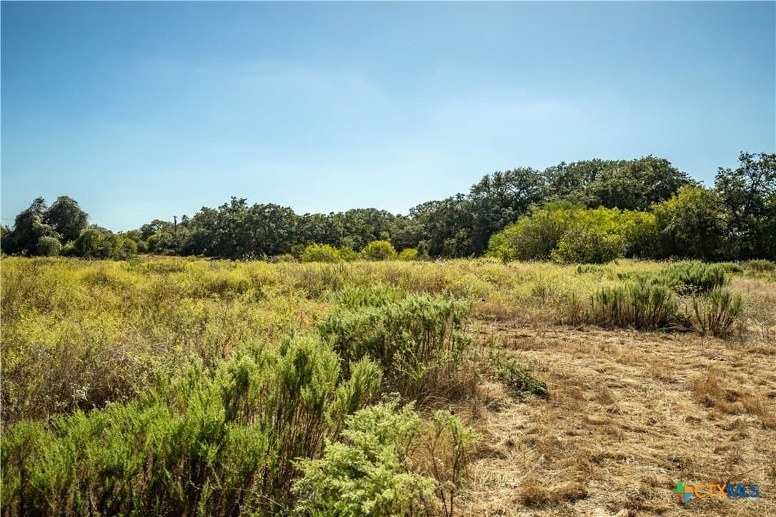 73.68 acres in Bexar County - photo 19