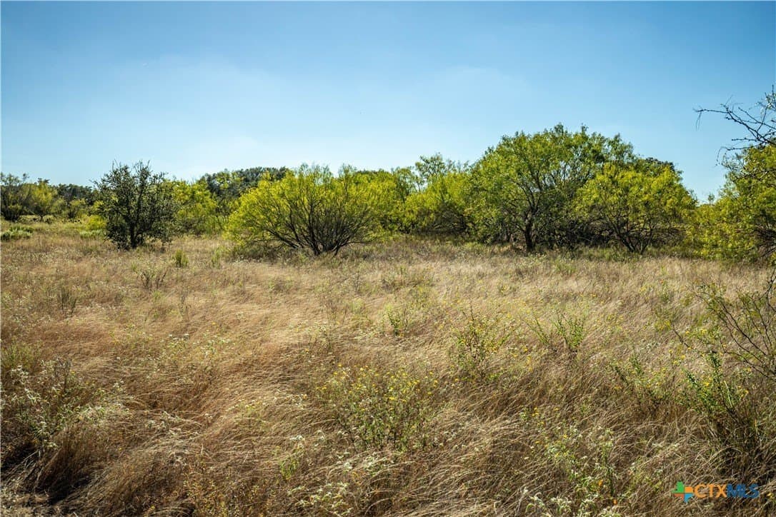 73.68 acres in Bexar County - photo 14