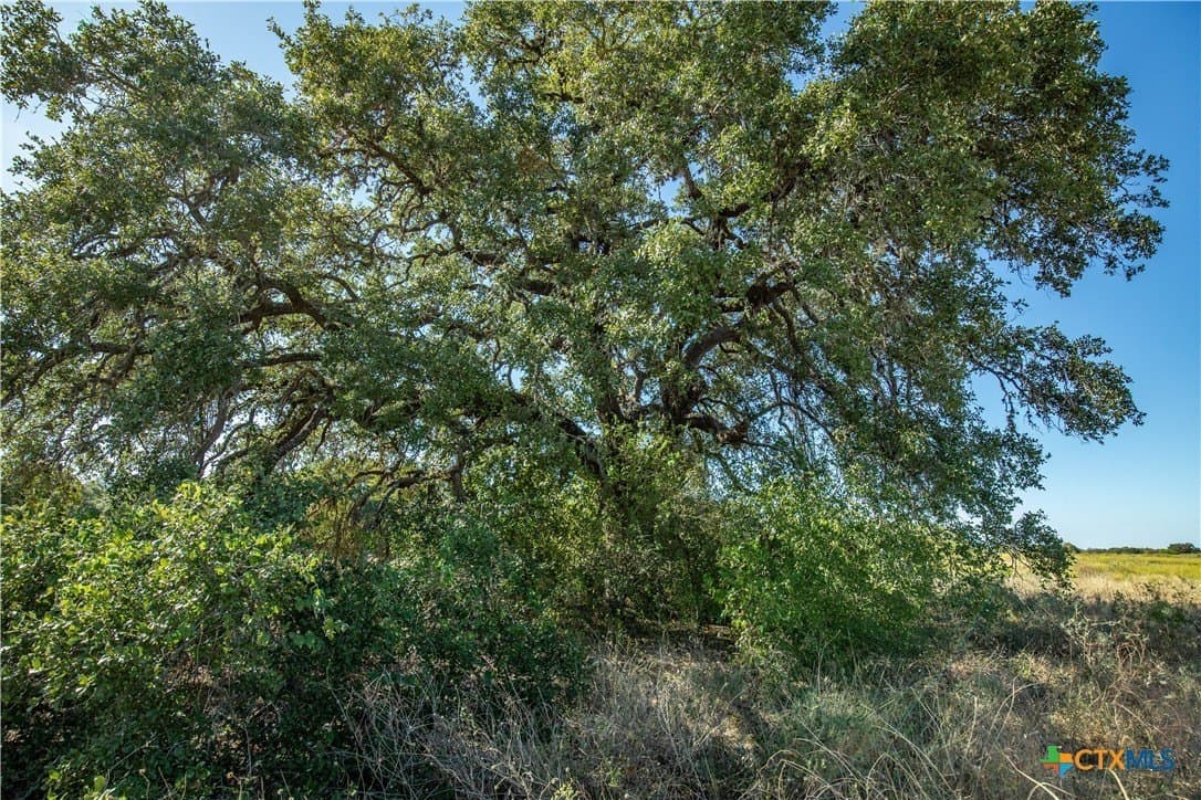 73.68 acres in Bexar County - photo 20
