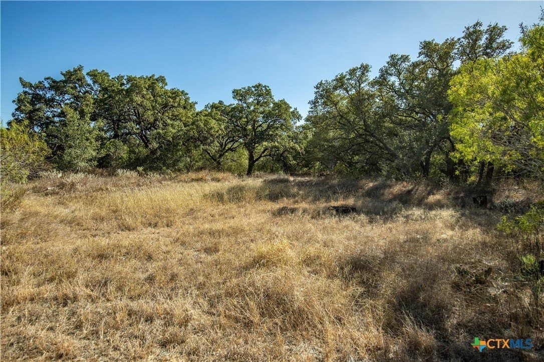 73.68 acres in Bexar County - photo 25