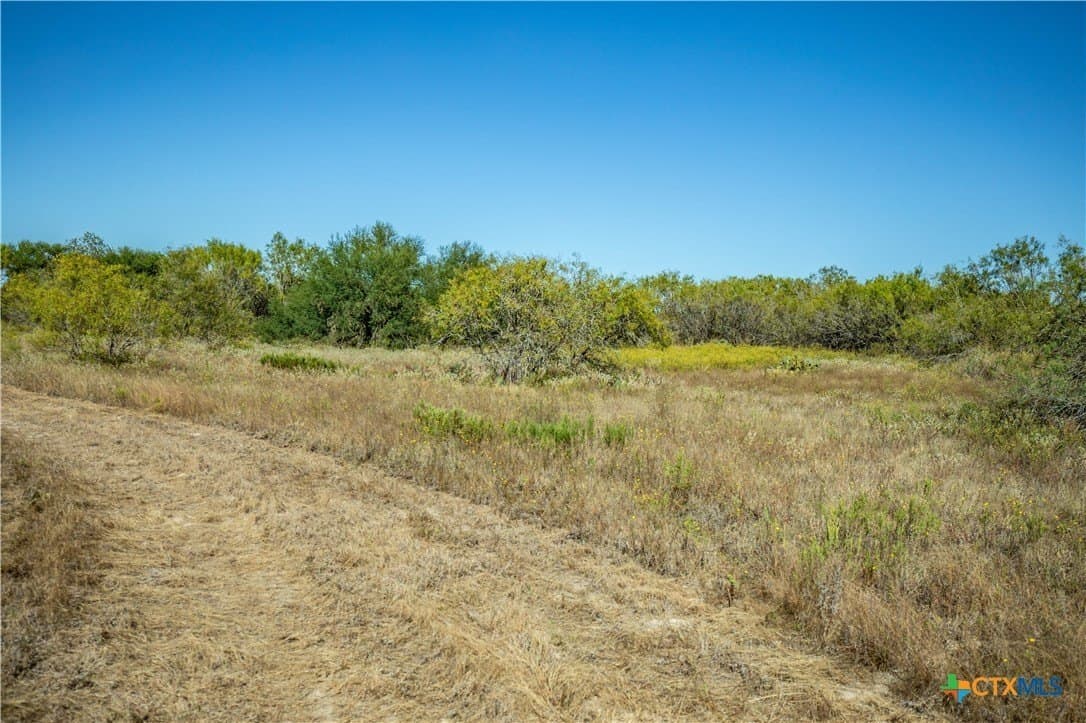 73.68 acres in Bexar County - photo 44