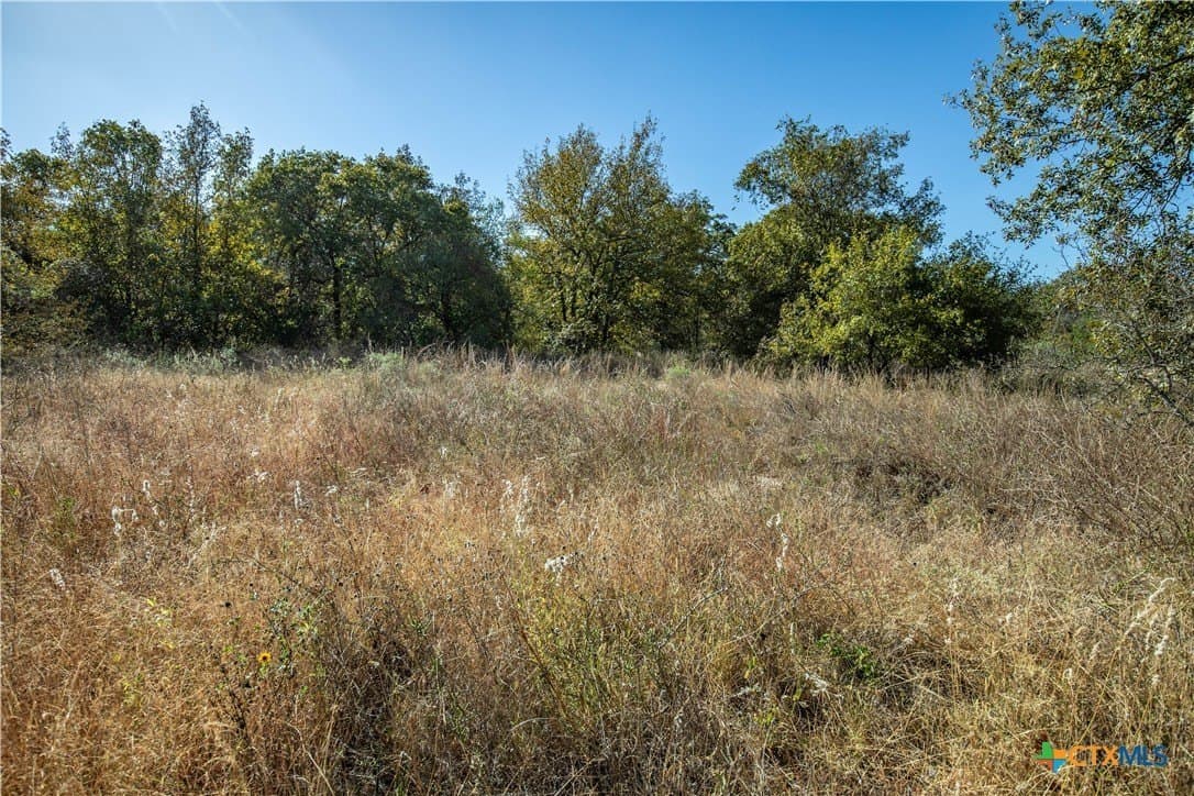73.68 acres in Bexar County - photo 35