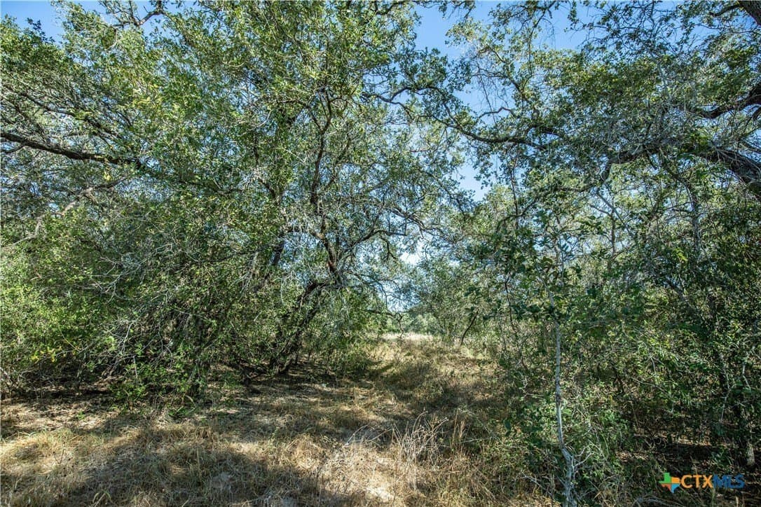 73.68 acres in Bexar County - photo 39