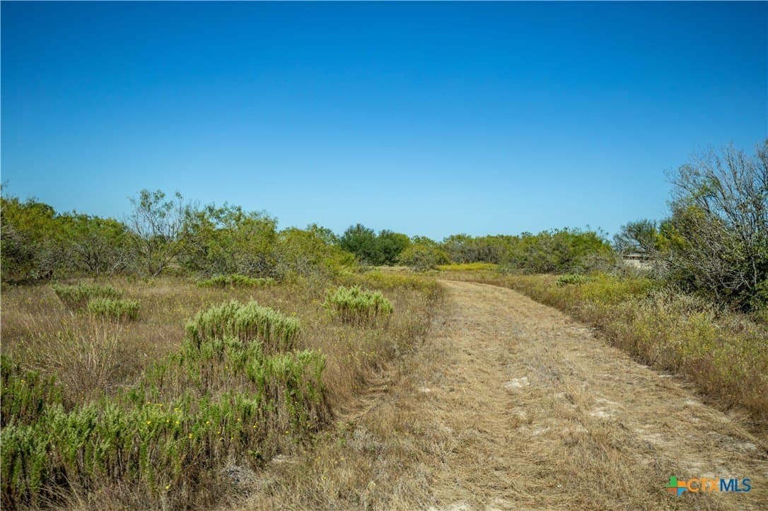 73.68 acres in Bexar County - photo 43