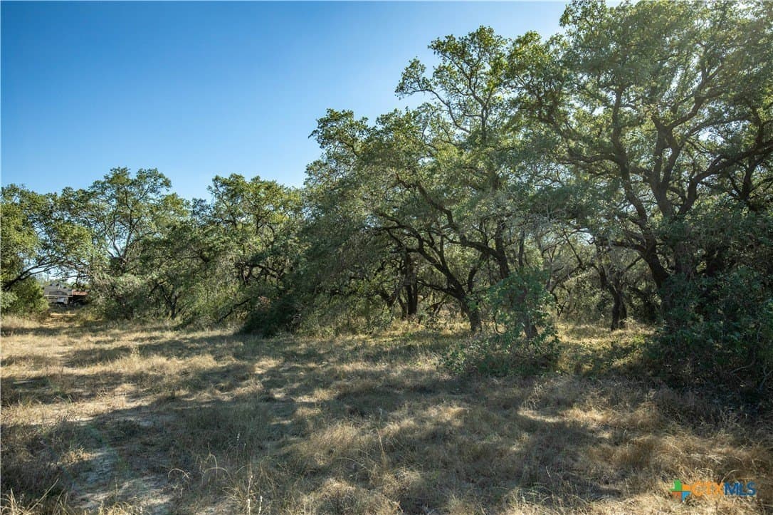 73.68 acres in Bexar County - photo 30