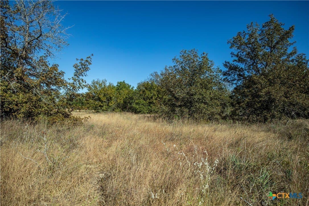 73.68 acres in Bexar County - photo 36
