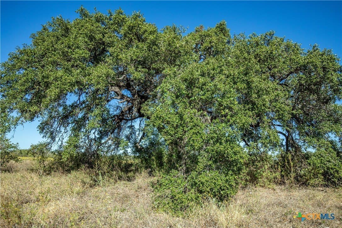73.68 acres in Bexar County - photo 42