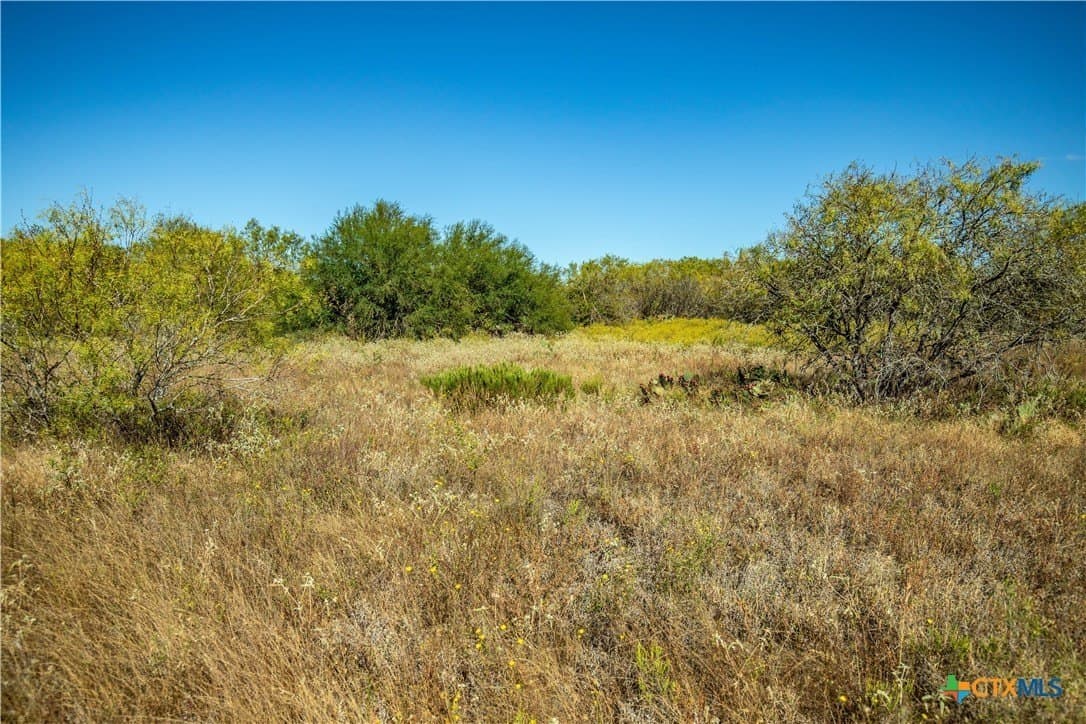 73.68 acres in Bexar County - photo 15