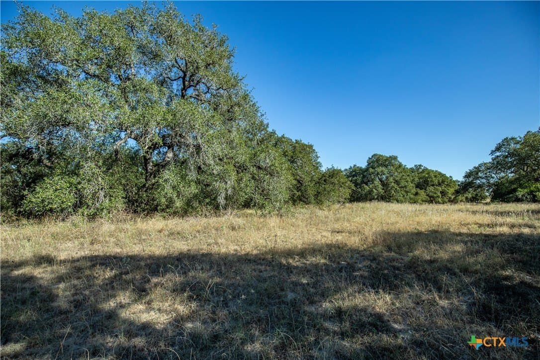 73.68 acres in Bexar County - photo 40