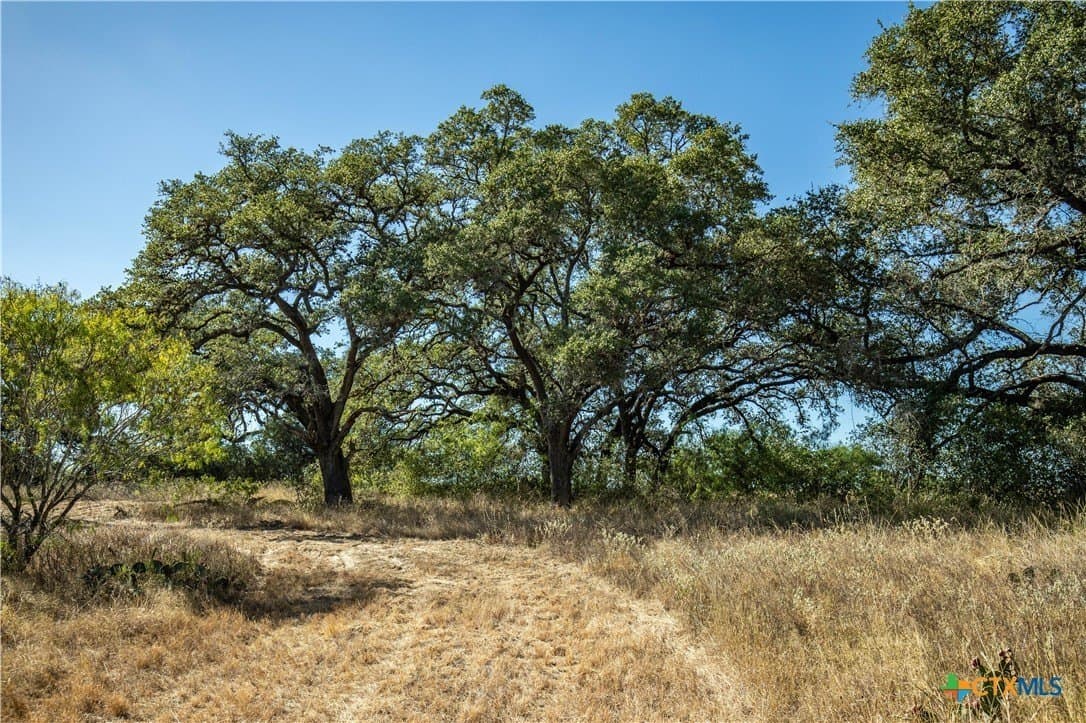 73.68 acres in Bexar County - photo 23