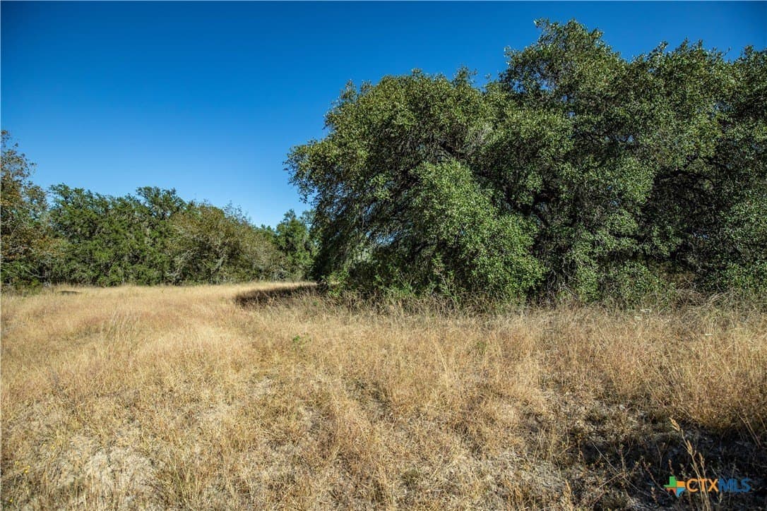 73.68 acres in Bexar County - photo 34