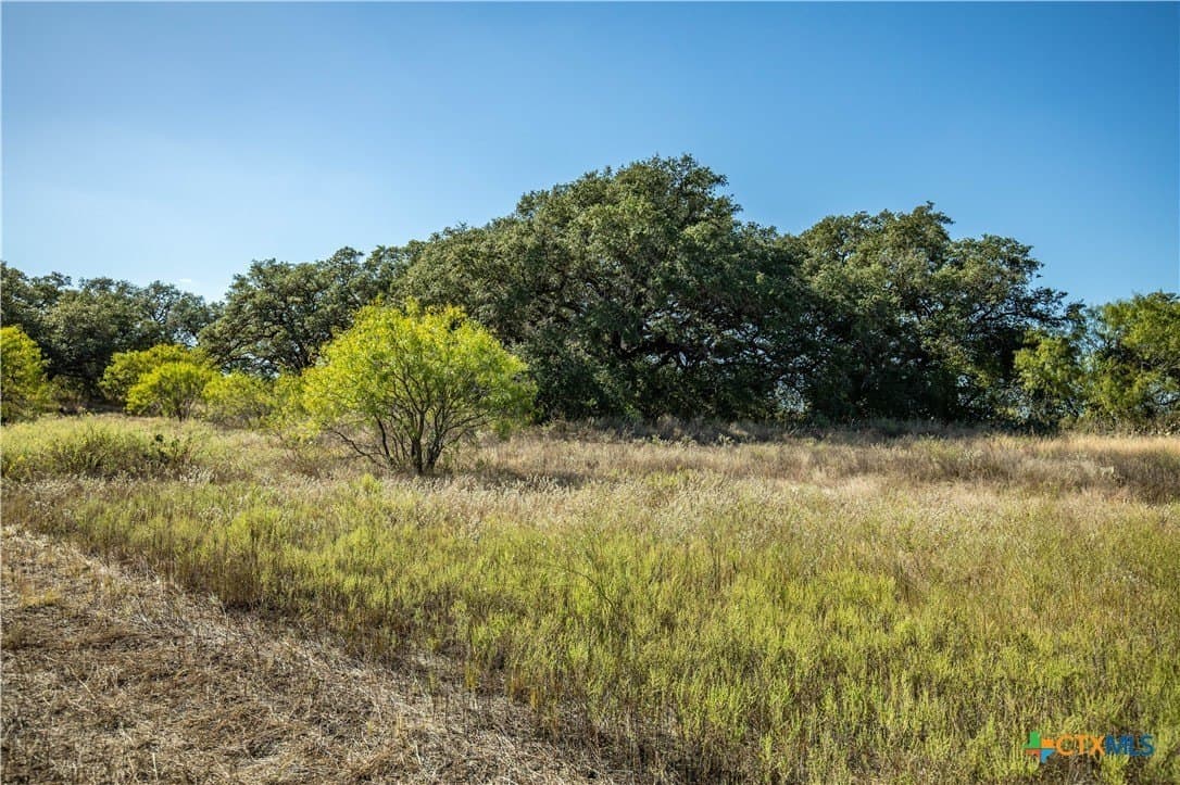 73.68 acres in Bexar County - photo 22