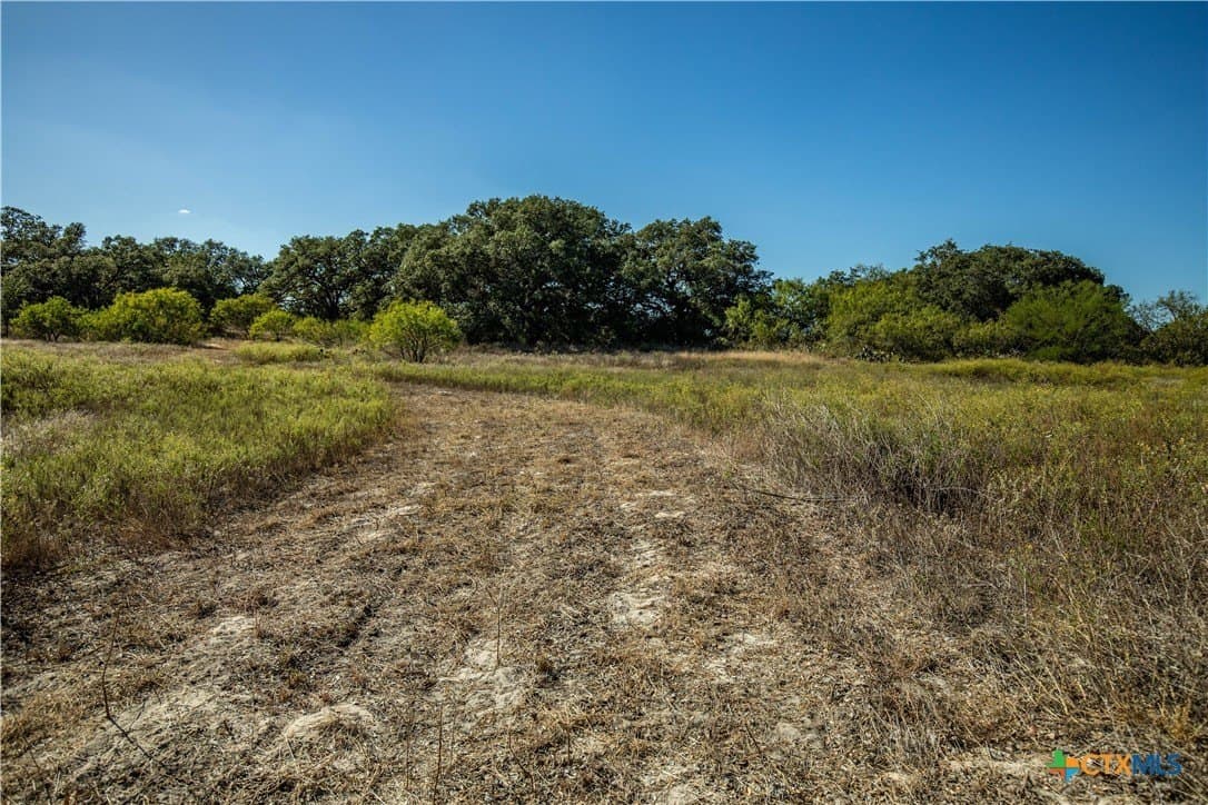 73.68 acres in Bexar County - photo 21