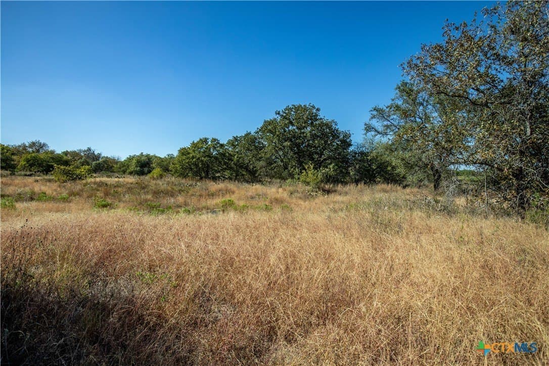 73.68 acres in Bexar County - photo 33