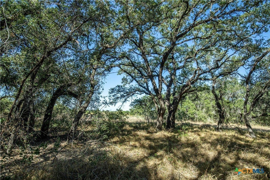 73.68 acres in Bexar County - photo 38