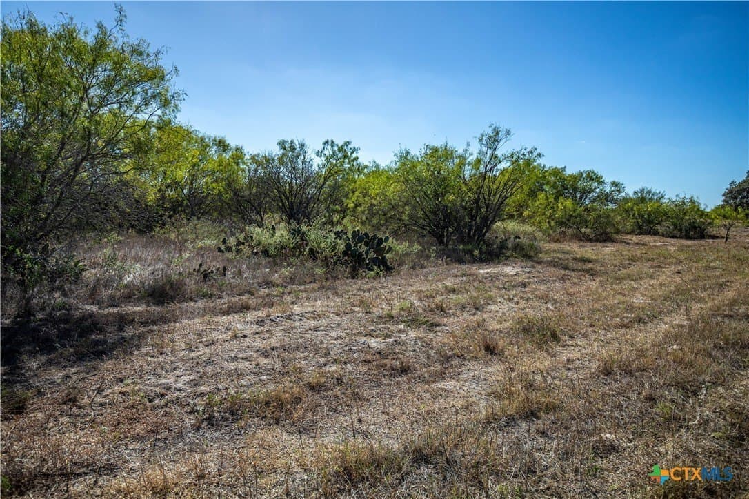 73.68 acres in Bexar County - photo 11