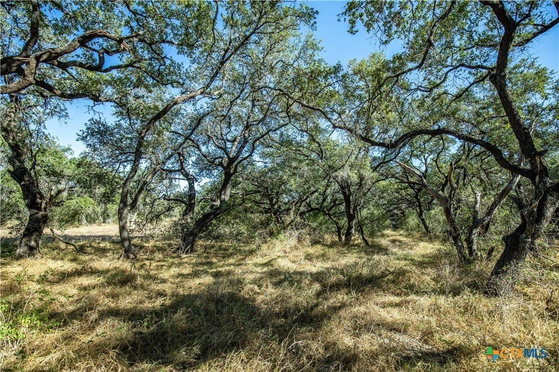 73.68 acres in Bexar County - photo 31